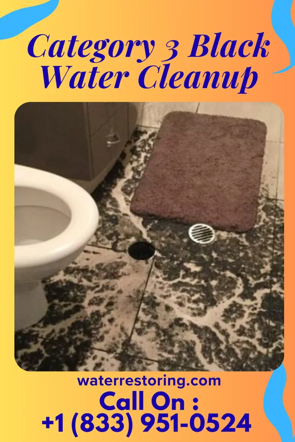 Category 3 Black Water Cleanup in Coldstream, OH
