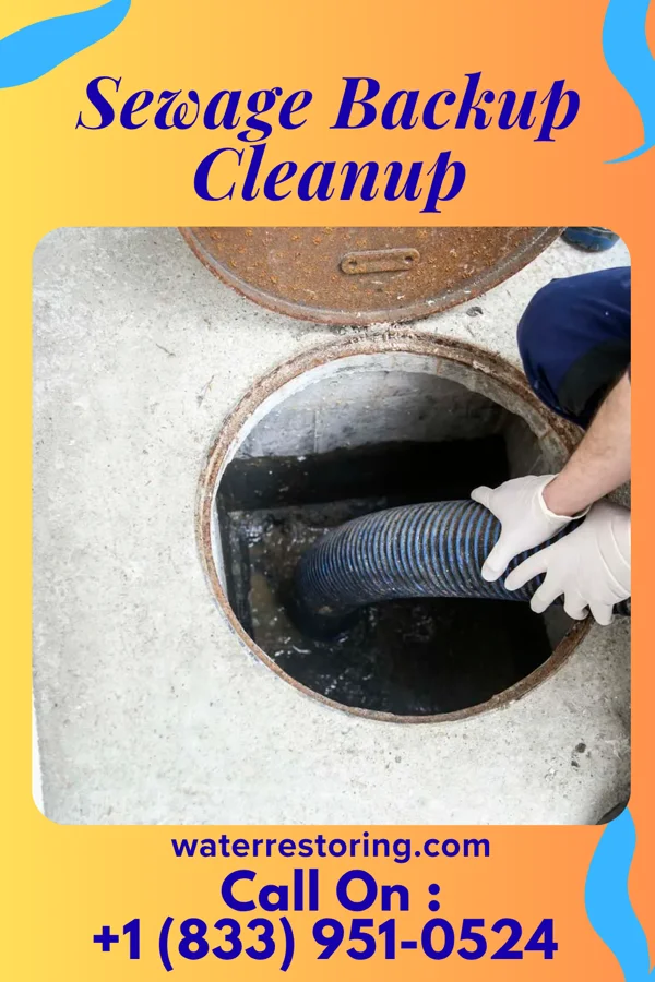 Sewage Backup Cleanup in Coldstream, OH